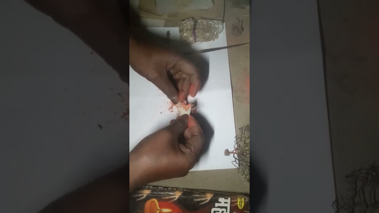 ताबीज भरने का सामान महेंद्र तांत्रिक