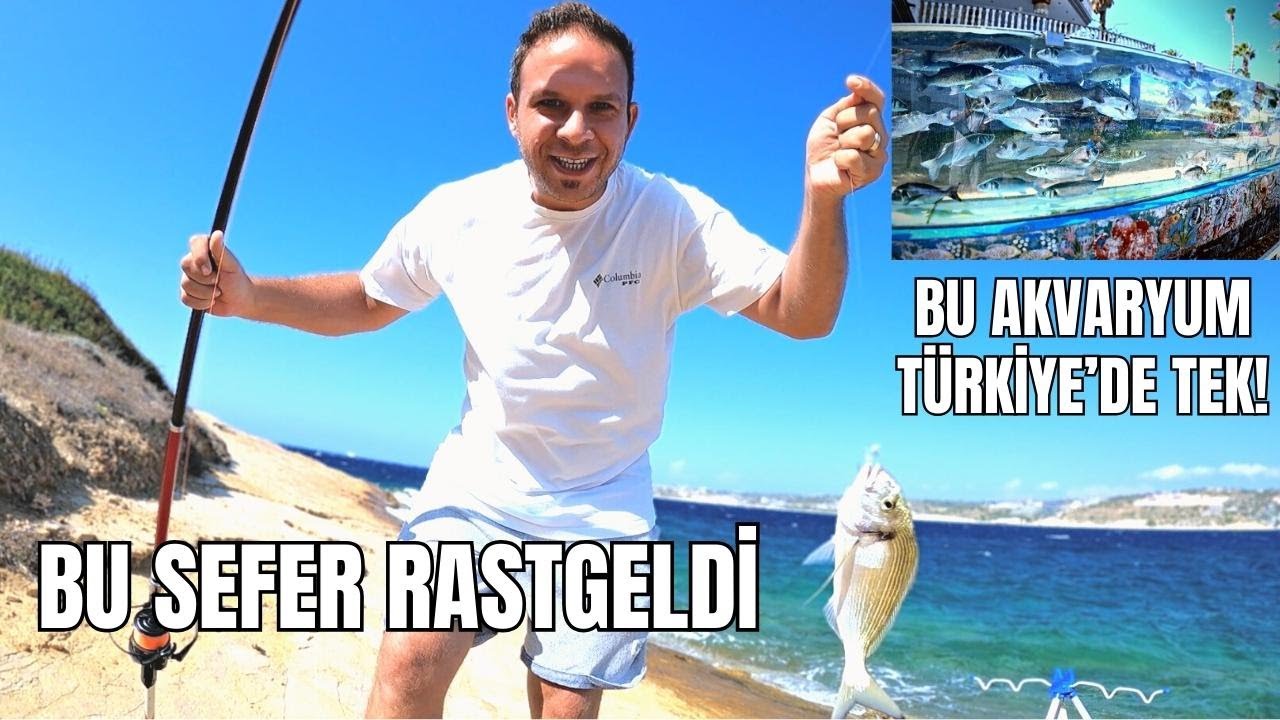 Buraya Hayran Kalacaksınız! - Akvaryum Duvarlı Ev - 2 Mera 2 Çipura