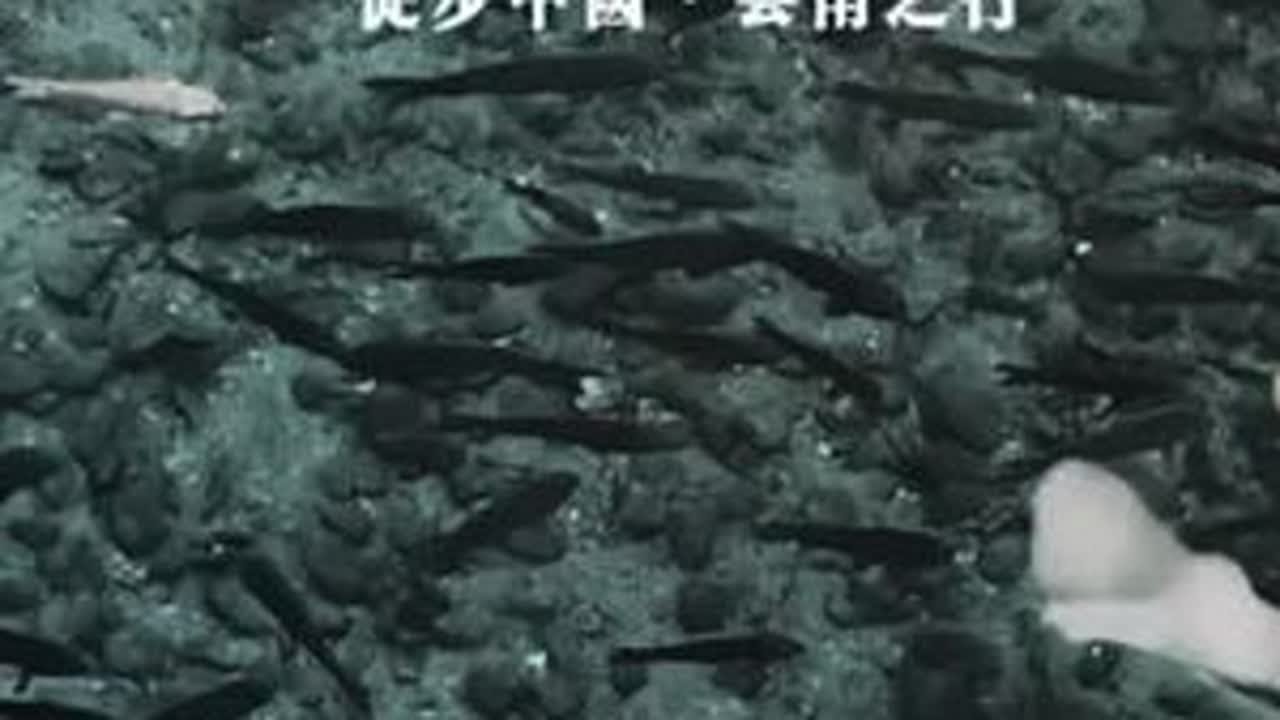 第274日，「因地制宜」· 初到宝地概所不知需变通，洞悉周围观察入微做选择。#徒步环旅中国 #云游四海 #大美中国 #临沧市 #云南之行