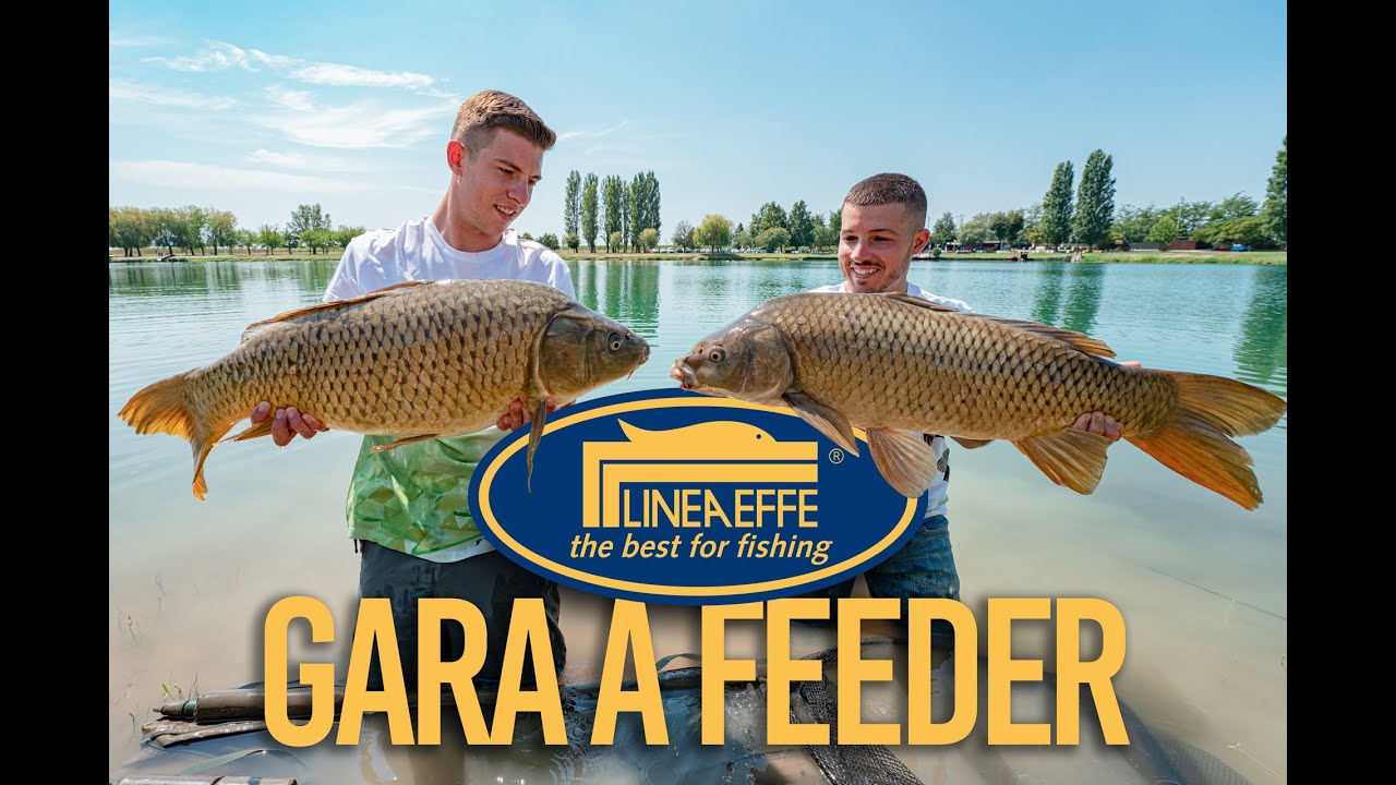 Lineaeffe - Gara a Feeder (Lago dell'Olmo)