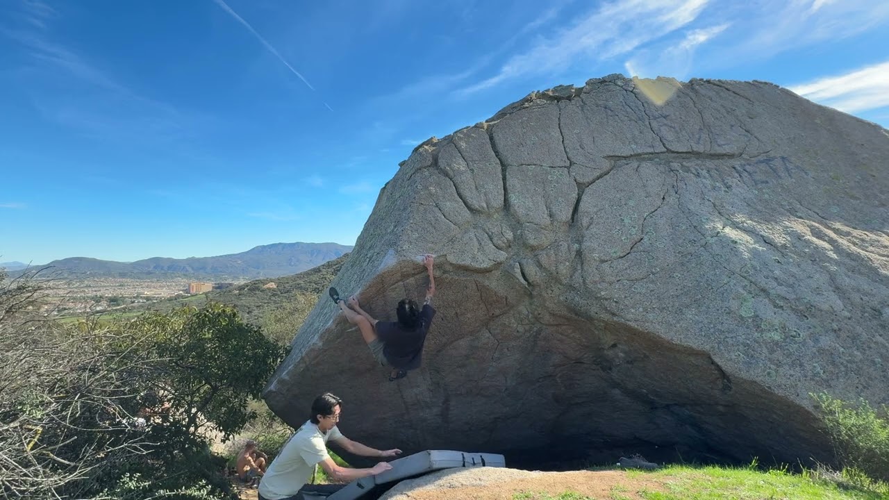 Linework v7