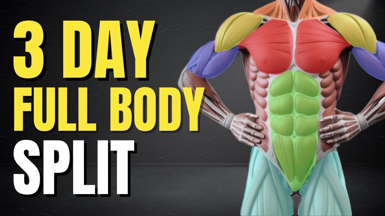 The ONLY Full Body Workout Plan You Need (3 Days a Week)