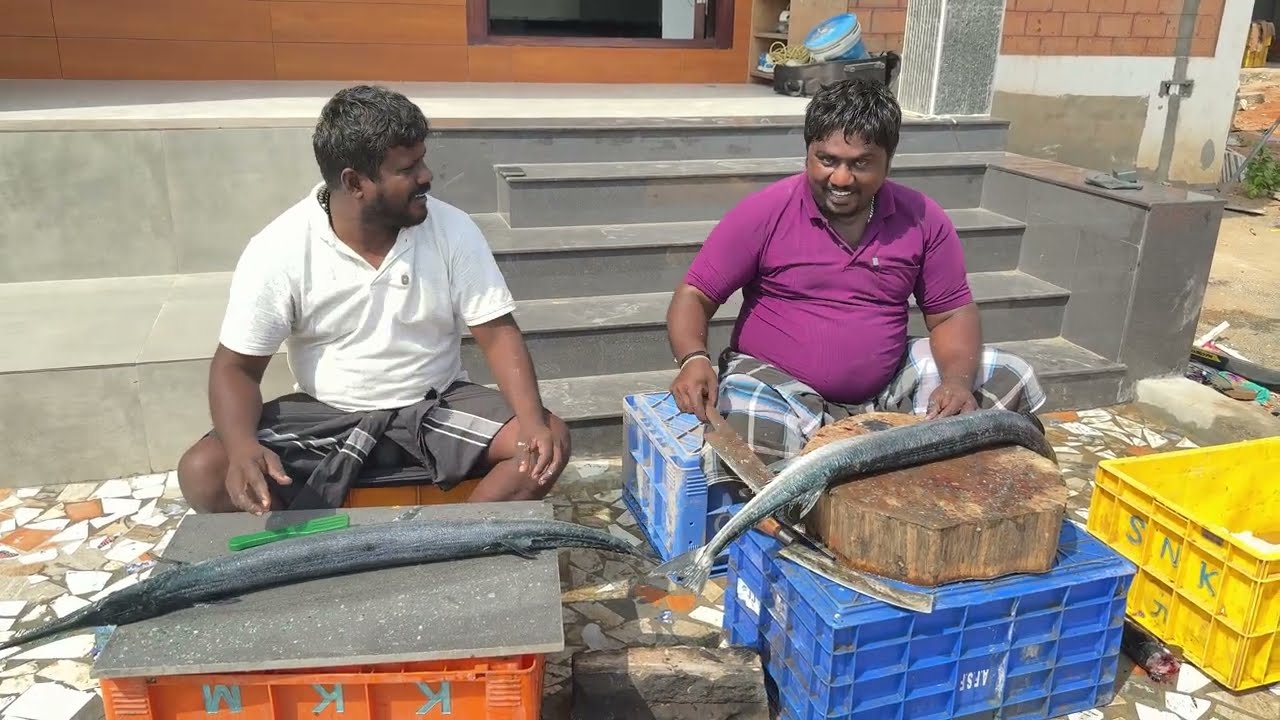 திருமணத்துக்கு நாங்க குடுத்த 130 kg கழிங்கன் முரல் மீன் 