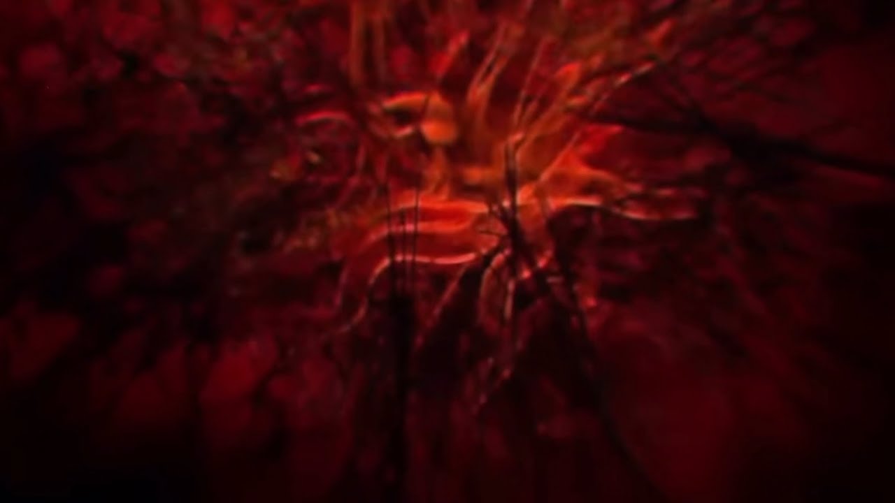Resonata x Murkish x Kaleidokitty - Moonflower (Unofficial Video)