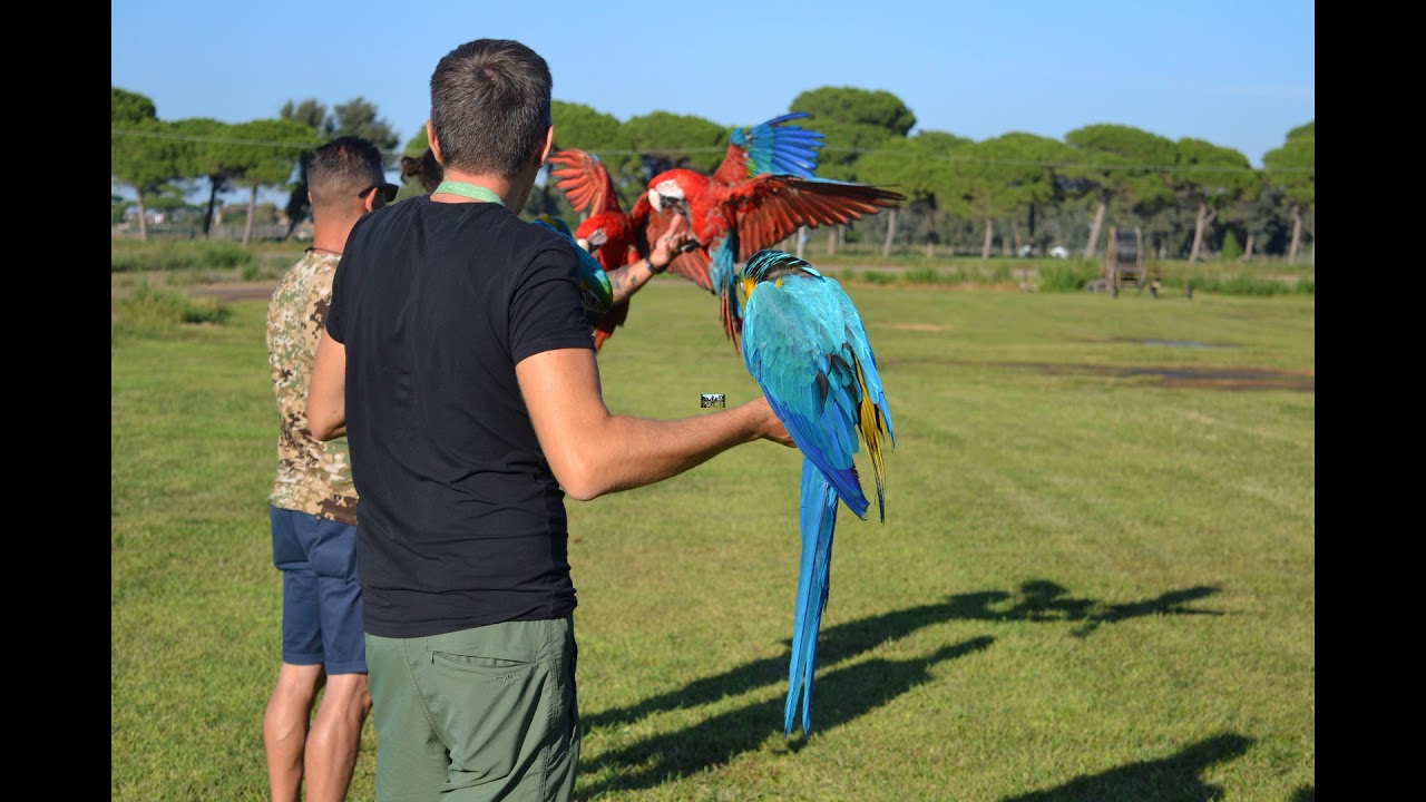 Raduno nazionale di Volo Libero Ostia 2018 Gli allievi della scuola di volo Ranzan.