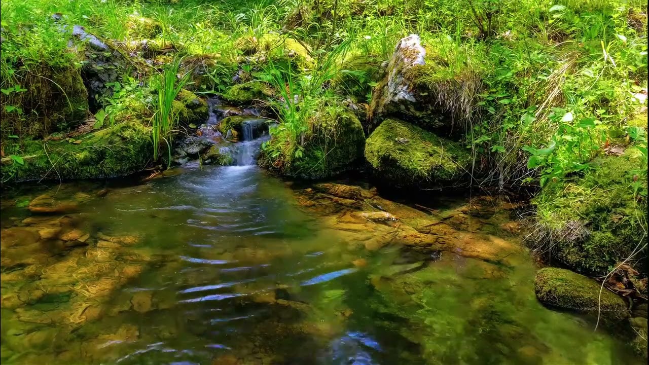Calming Montain Forest Stream Sounds | Anxiety Relief, Mindfulness & Inner Peace