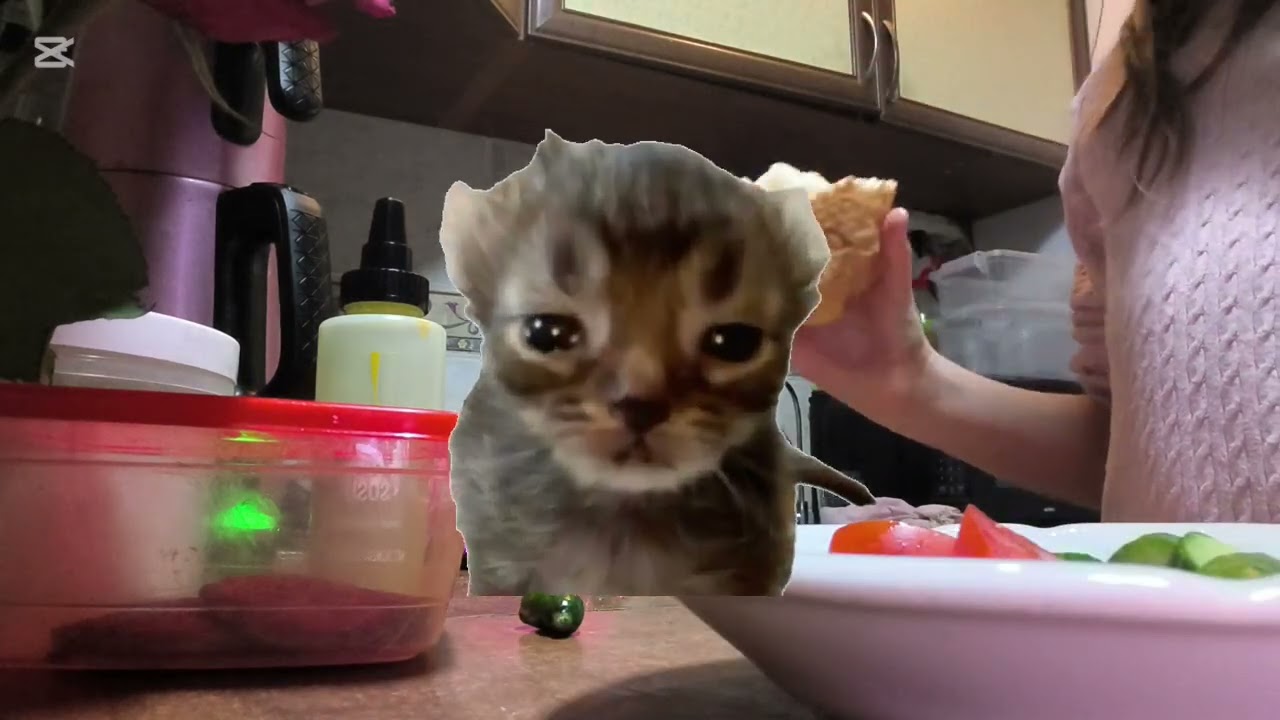|Готовим ужин! Бургер!🍔|
