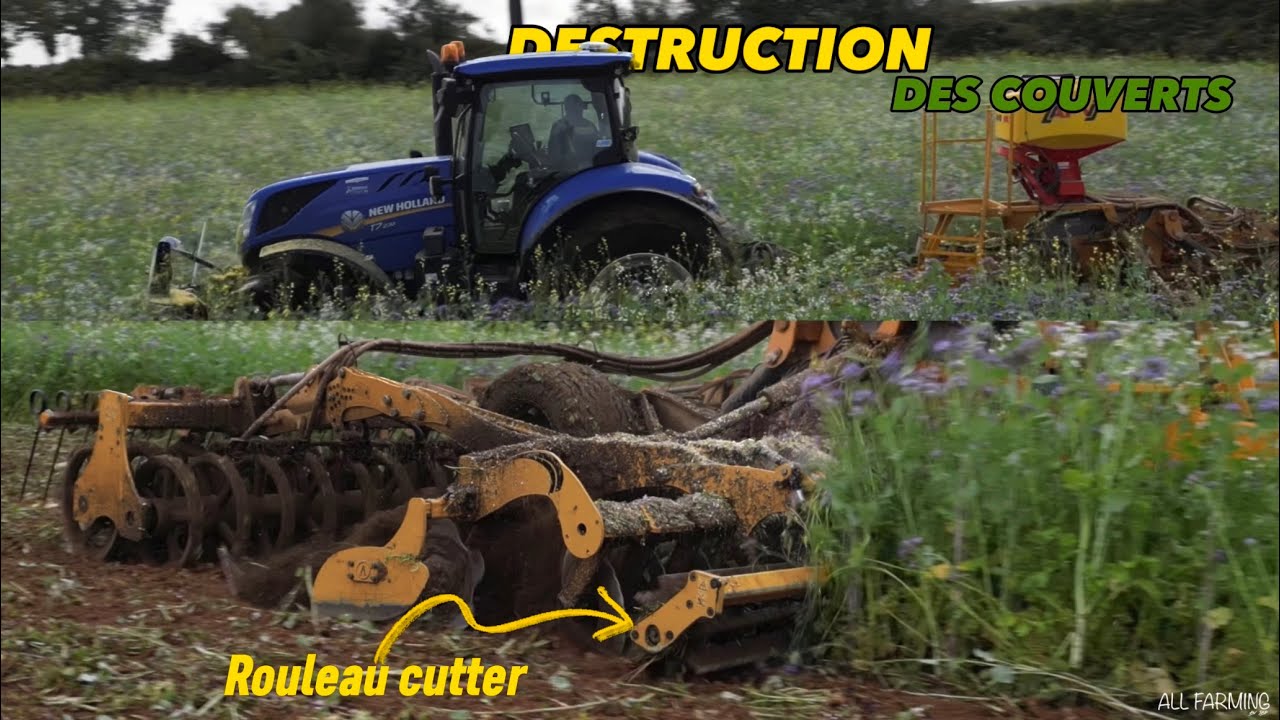 DESTRUCTION DE COUVERTS VÉGÉTAUX | NEW HOLLAND T7.230 ET AGRISEM DISCOMULCH