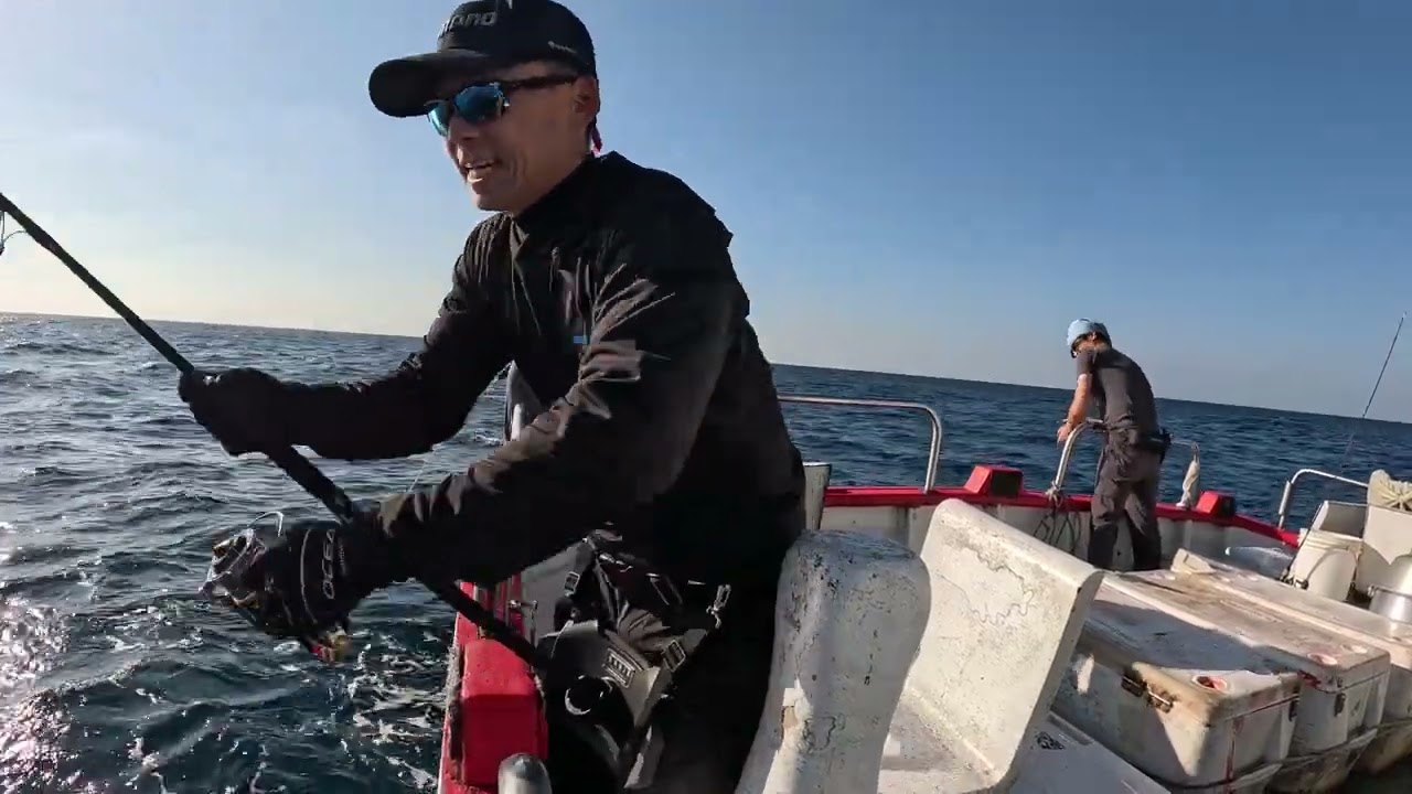 小高中魚