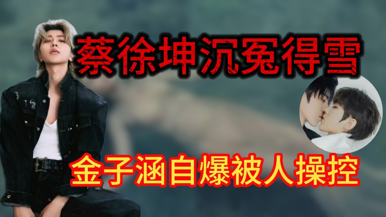 蔡徐坤沉冤得雪！金子涵自爆​​被人操控，還點名王思聰！別問娛樂圈水多深，想想那些消失的明星去哪了