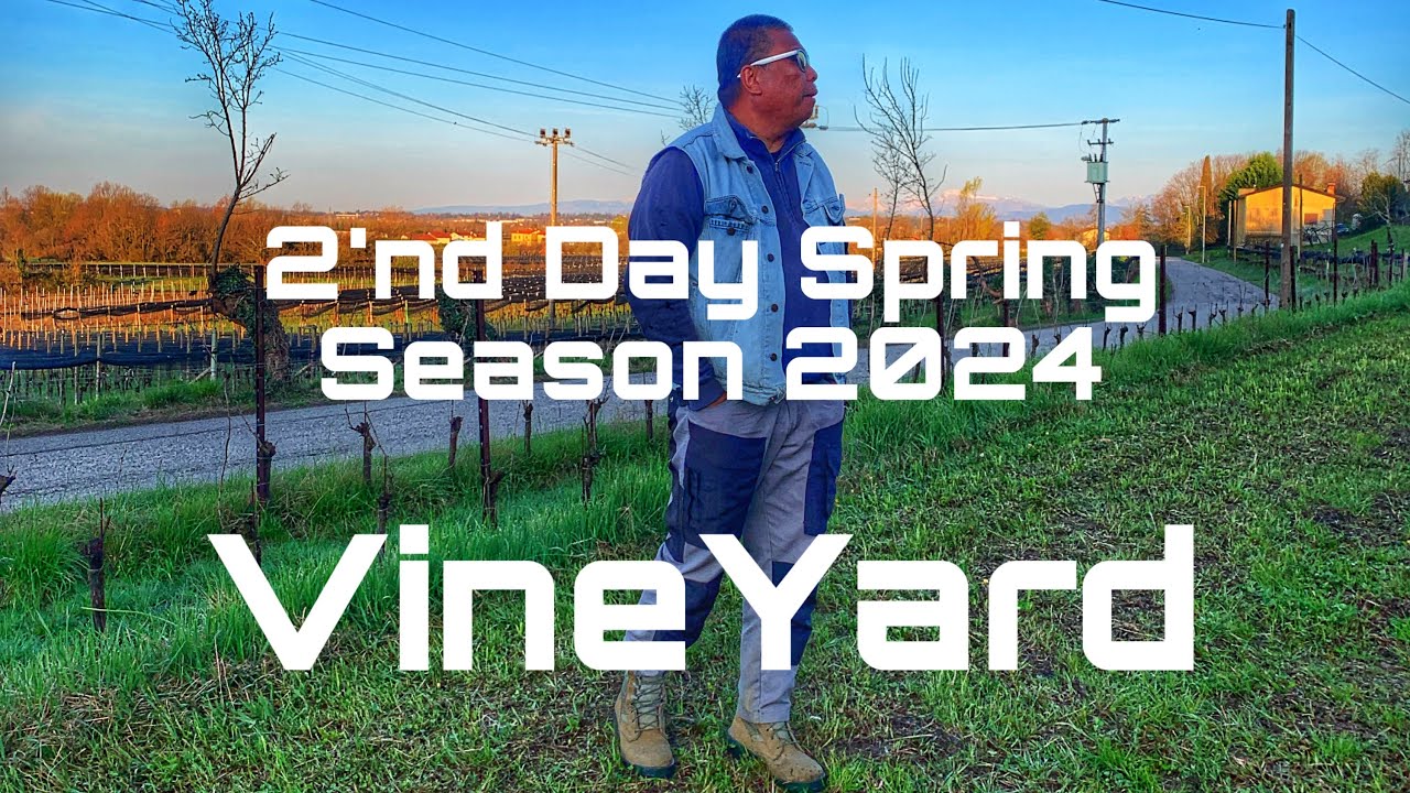 Enjoying the Sunshine at Work Spring Season 2024
