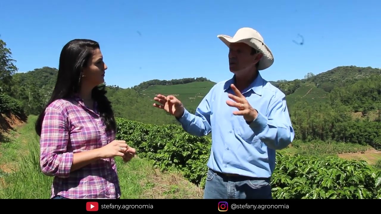 Broca do Café: o que é, como controlar, prejuízos.