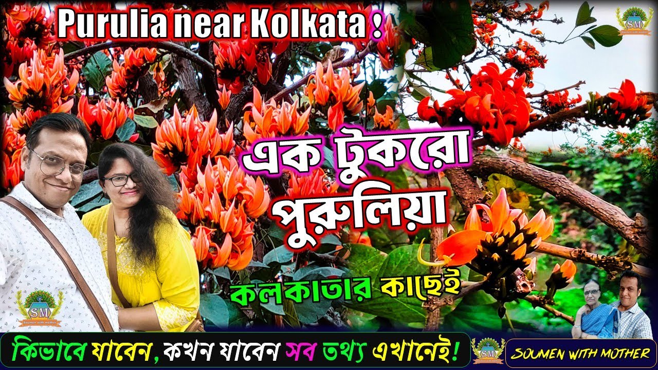 হাওড়ার বেলুড় এখন পলাশের জন্য স্বর্গরাজ্য | Belur Palash Garden 2025 | A Little Purulia in Howrah