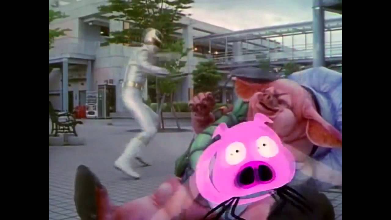Pig Nezire