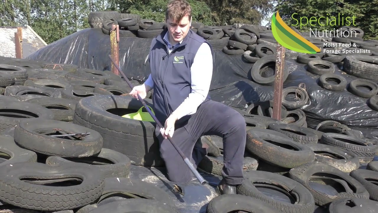 Sampling forage for analysis | Nigel Condell