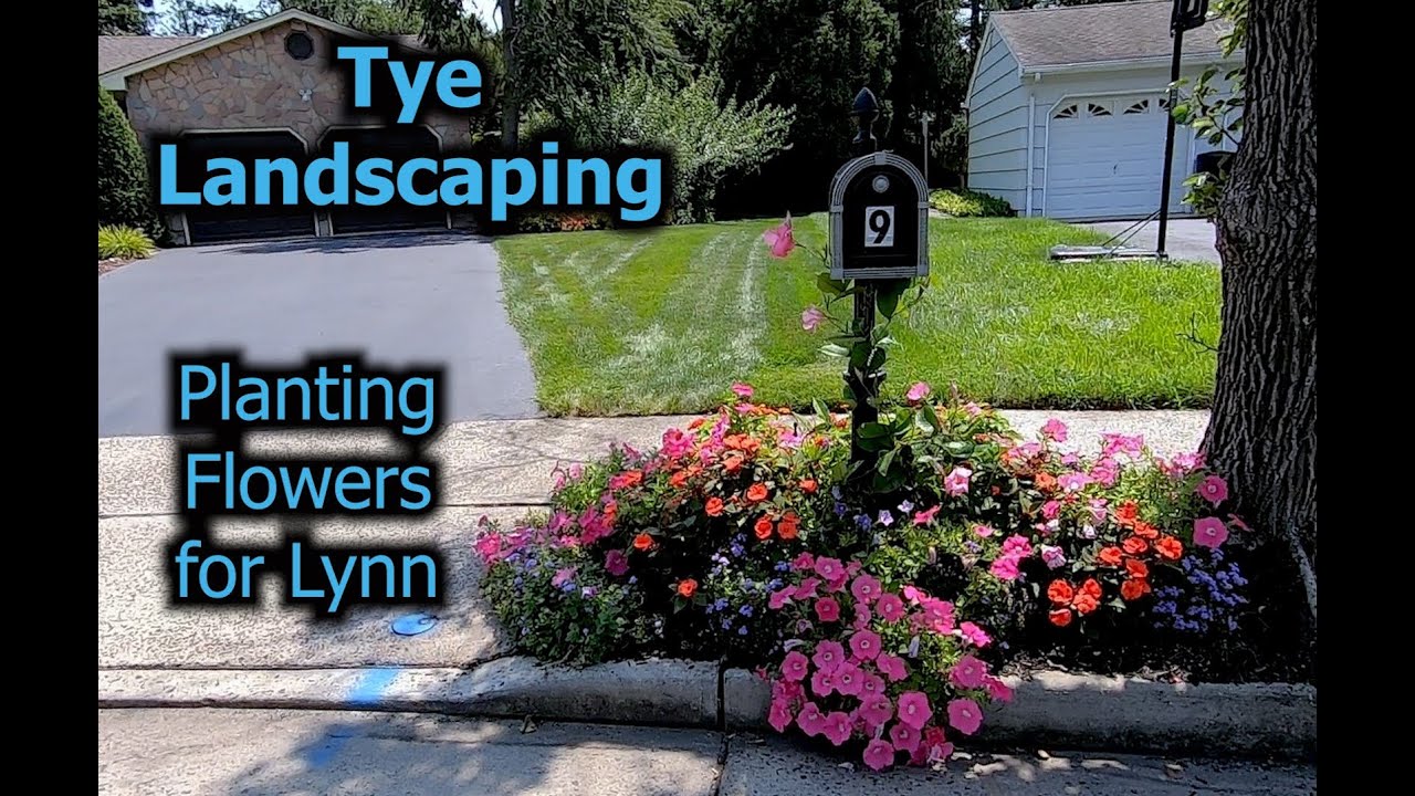 Amazing Seasonal Color with Summer Flowering Annuals - Planting for Lynn