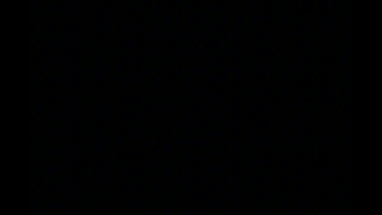 Wampamba by Alexten official