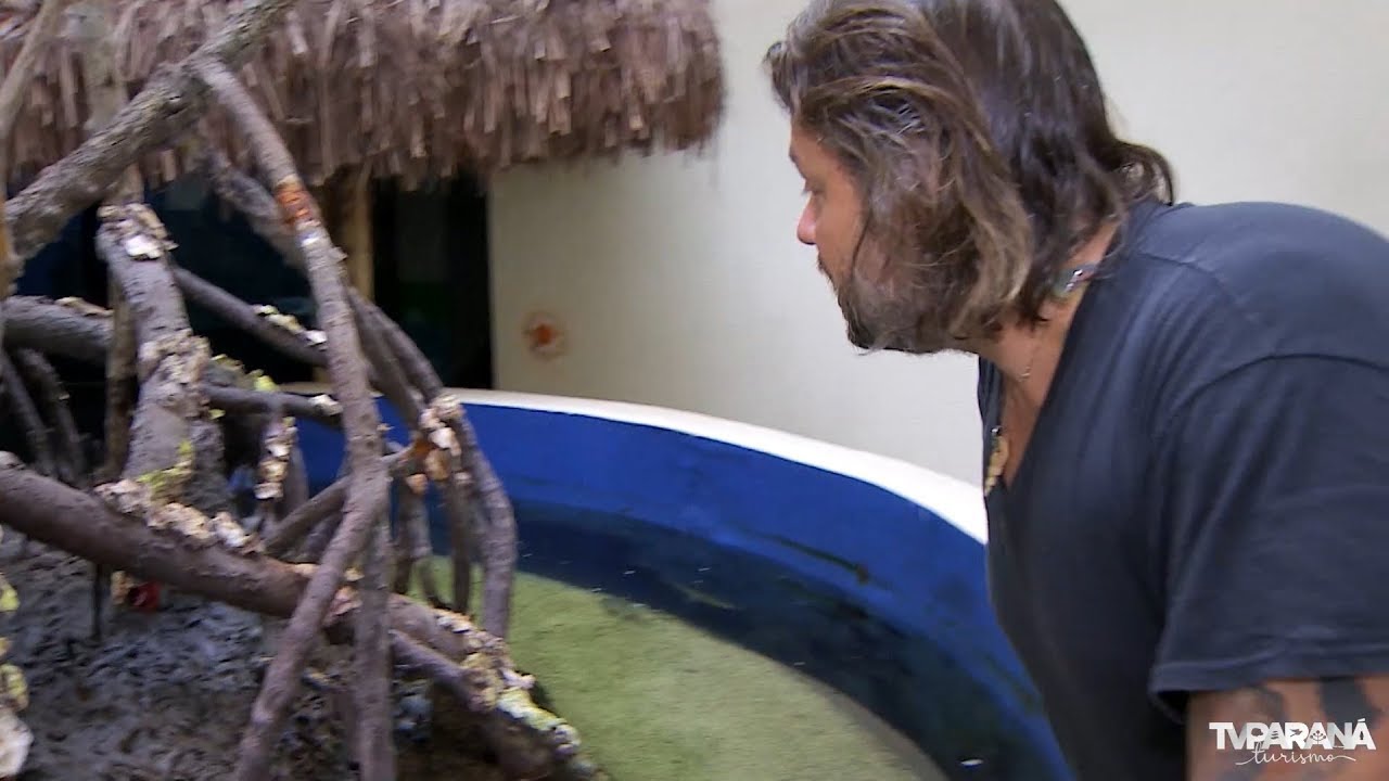As Aventuras do Richard no Paraná: Aquário de Paranaguá
