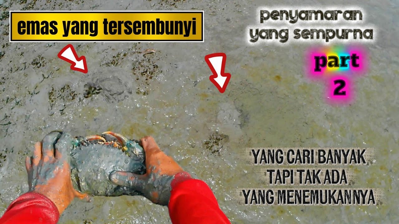 REZEKI EMAS DIBALIK LUMPUR! 😱 Seafood Mahal Tersembunyi di balik lumpur Kolam Tambak! 😍 part 2