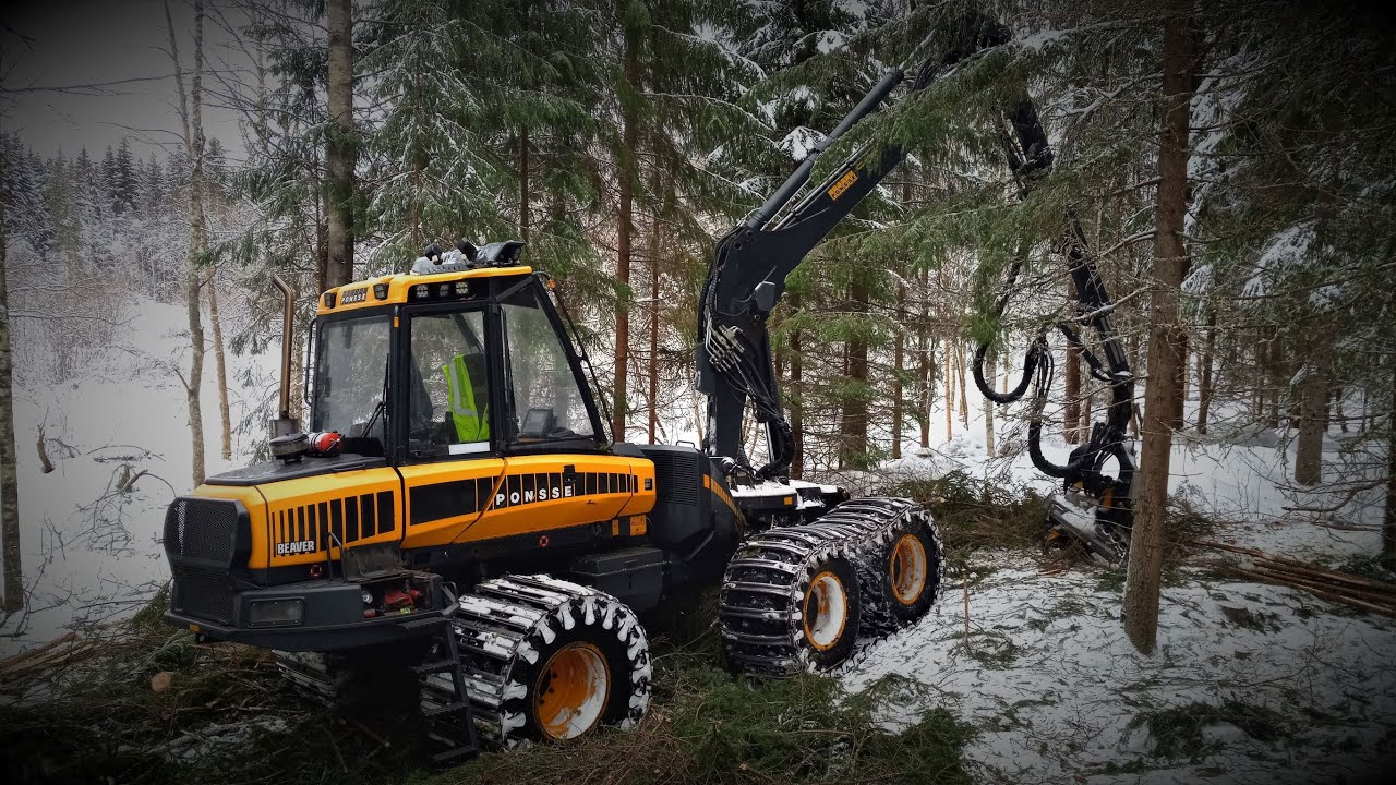 PONSSE Beaver talvisessa kuusikossa, osa 3/3.🌲🌲🌲