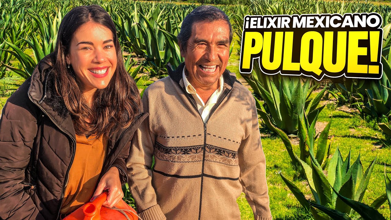 Pulque Mexicano 🌵 De las bebidas más Codiciadas en el Mundo