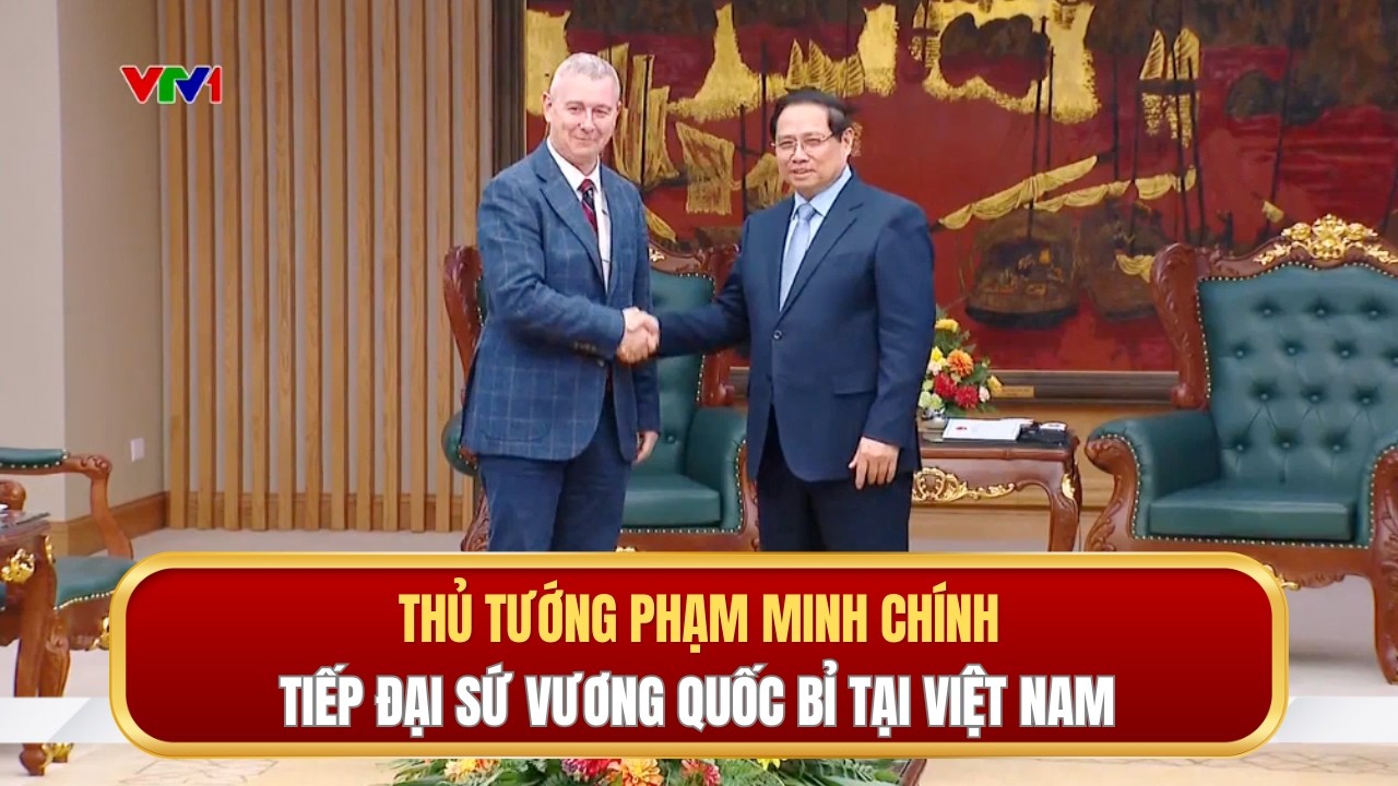 Thủ tướng Phạm Minh Chính tiếp Đại sứ Vương quốc Bỉ tại Việt Nam