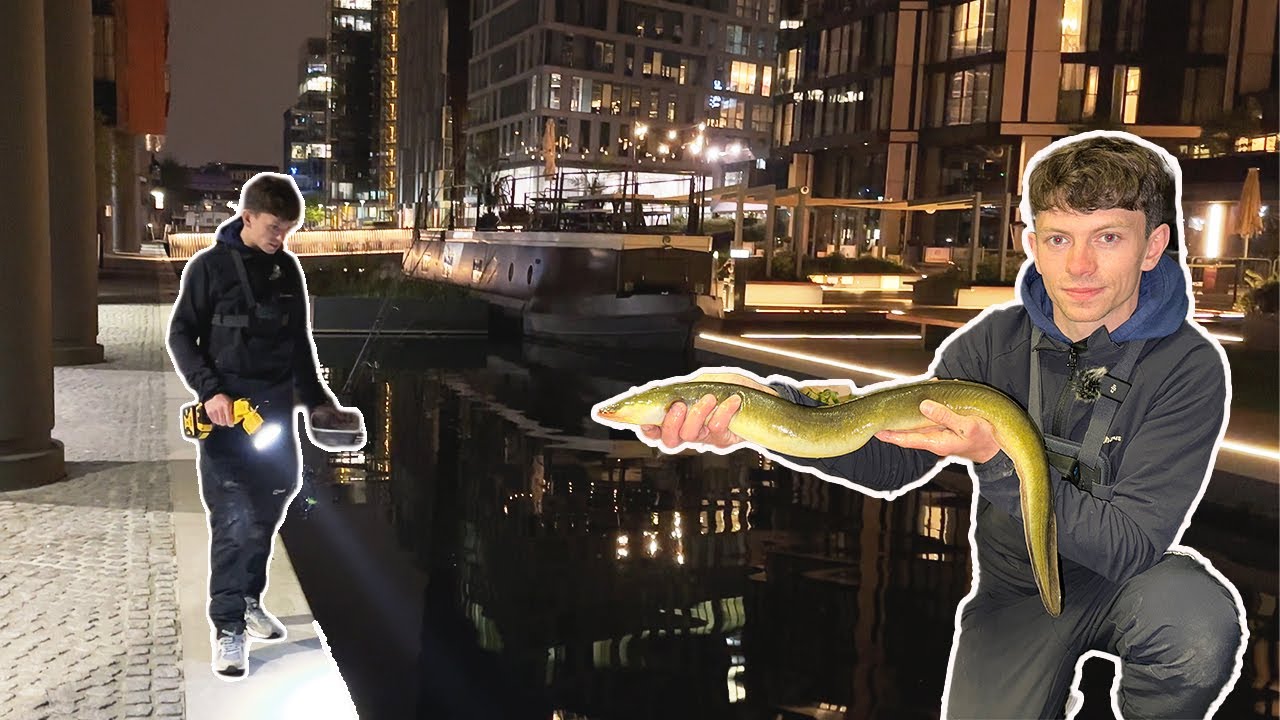LURE fishing for EELS - urban London fishing
