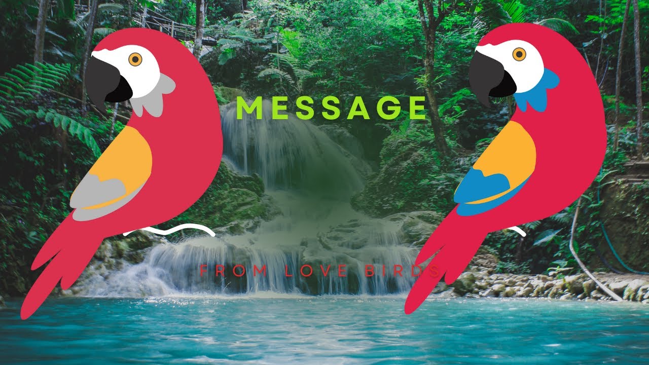 Story from jungle simple message