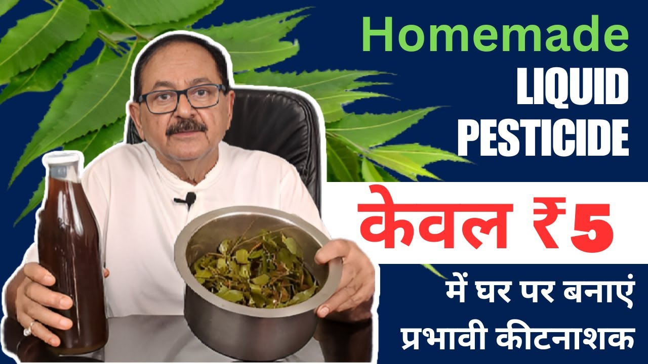 How to make powerful organic pesticide at home I घर पर बनायें एक जैविक कीटनाशक