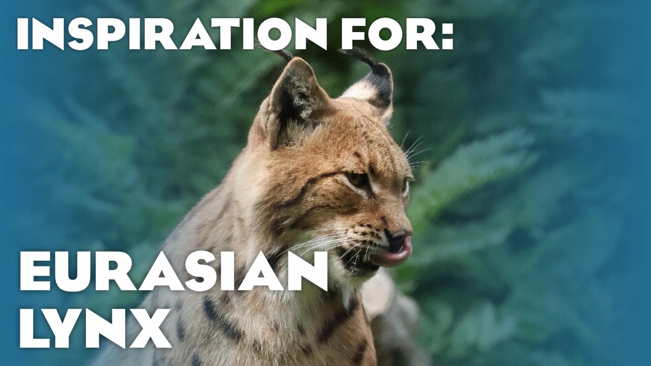 34 Real Lynx Habitats! (Planet Zoo Inspiration)