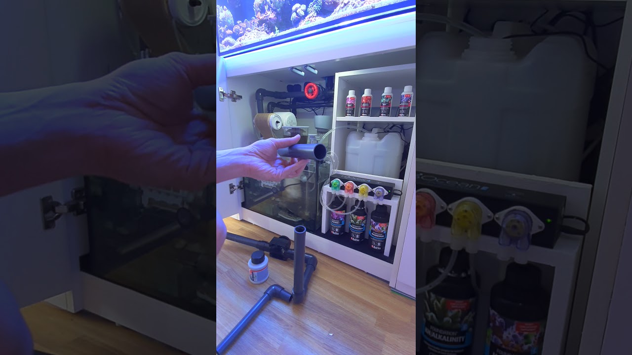Red Sea Reefer 250 V3 Sump Setup - Clarisea SK3000 Installed