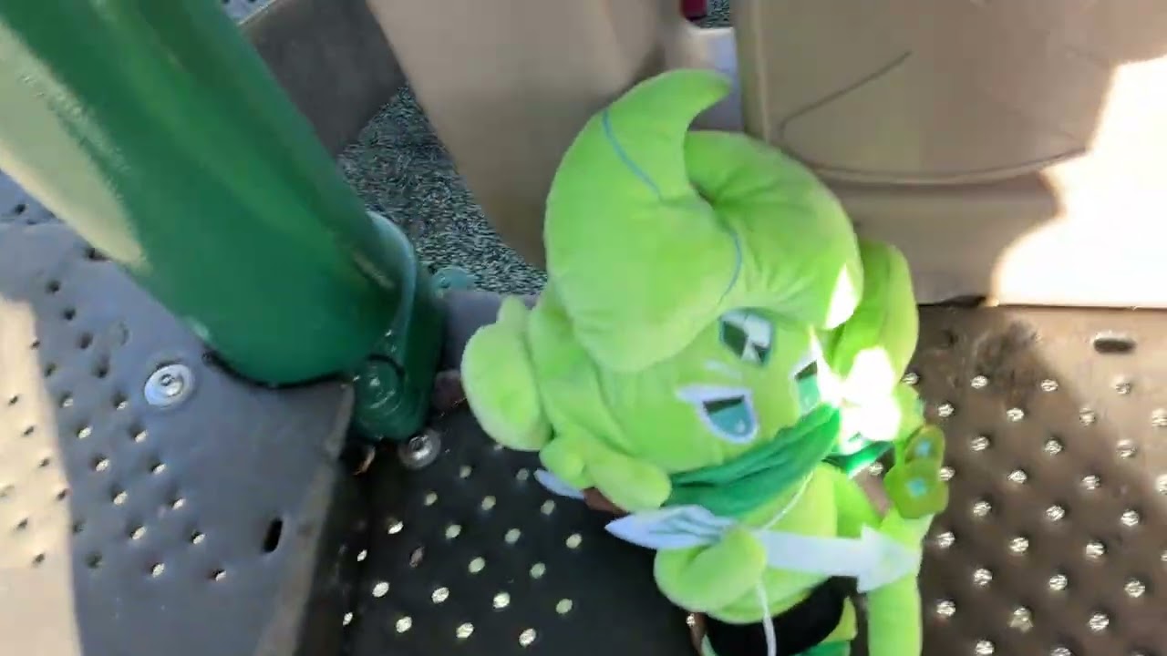 WAC goes to the park