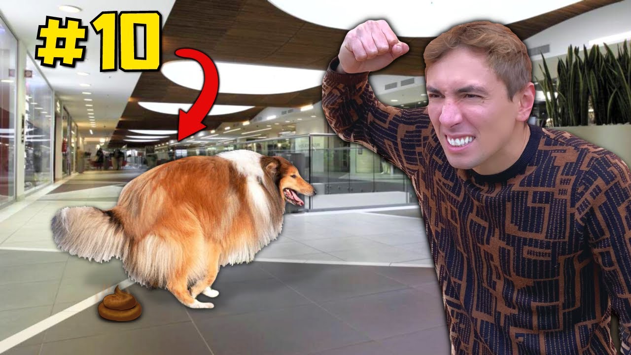 10 COSE da NON FARE coi PROPRI CANI