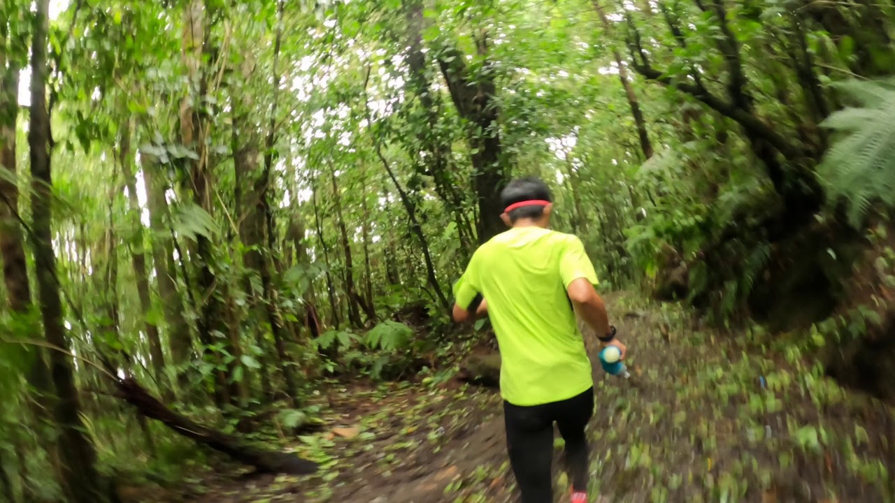 Gede Pangrango | Downhill Kandang Badak - Cibodas | Part 1