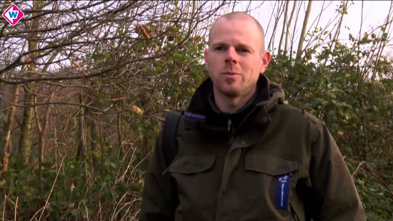 December op weg naar warmterecord; 'Het lijkt wel lente'