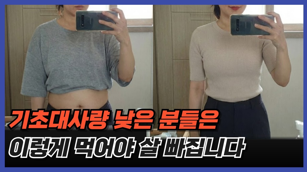 2026 다이어트는 이렇게 하세요. 체질별 식단 총정리