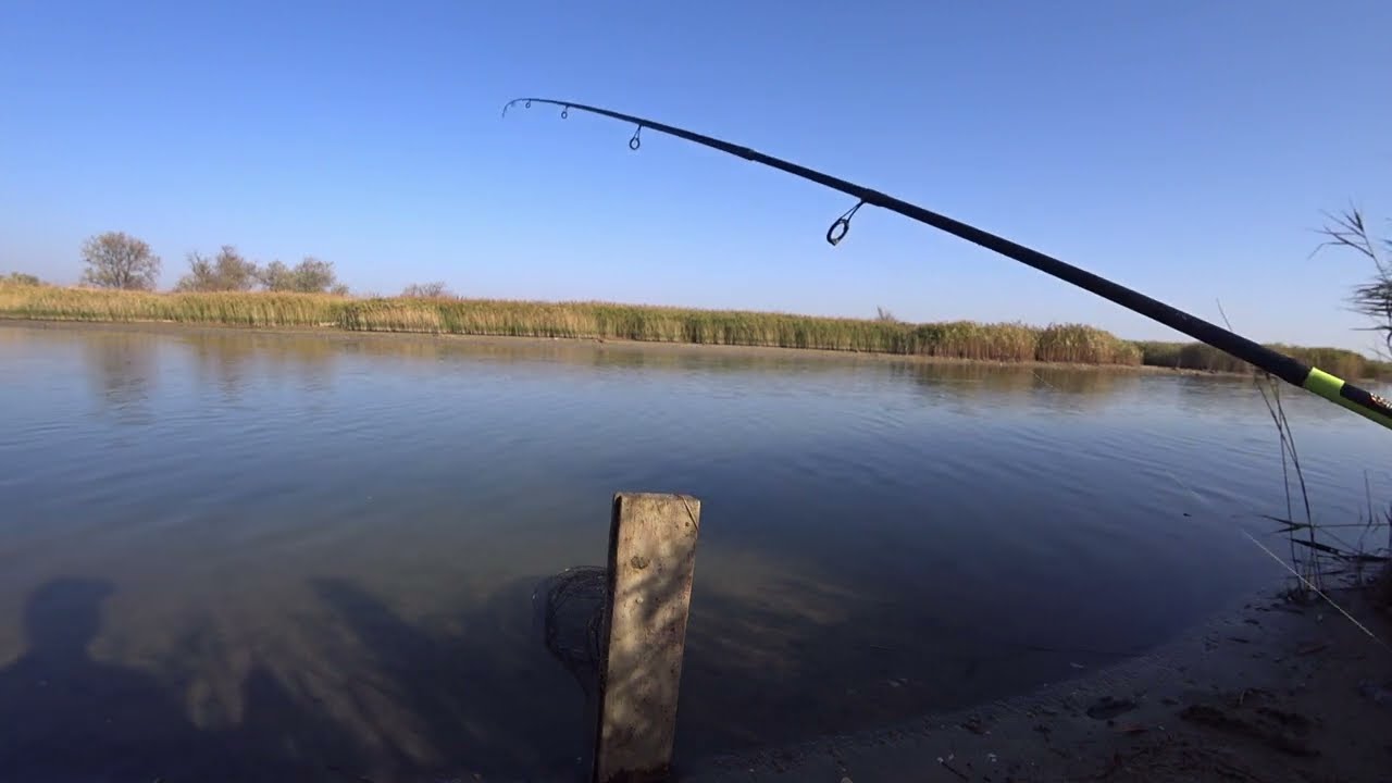 🎣 Кефаль на Тилігульському лимані  | рибалка з берега 🐟