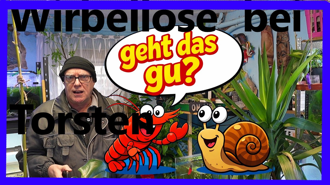 Schnecken im GarnelenbeckenSinnvoll oder Problem?