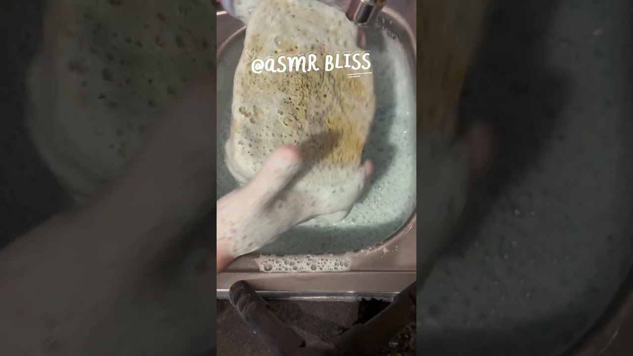 🧽 Sponge squeezing 🧽 to release the stress. A little bit of everything 