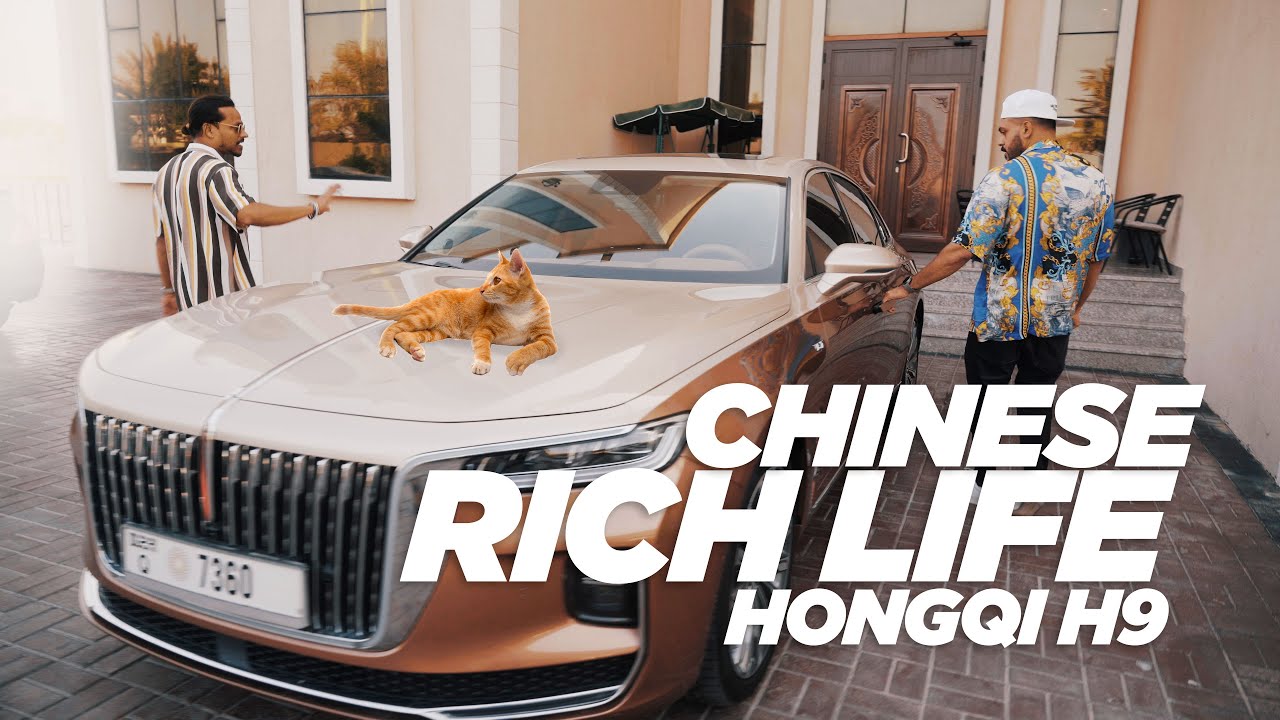 Rich life of the Chinese - Hongqi H9 | Cat Cafe in Dubai Vibrissae