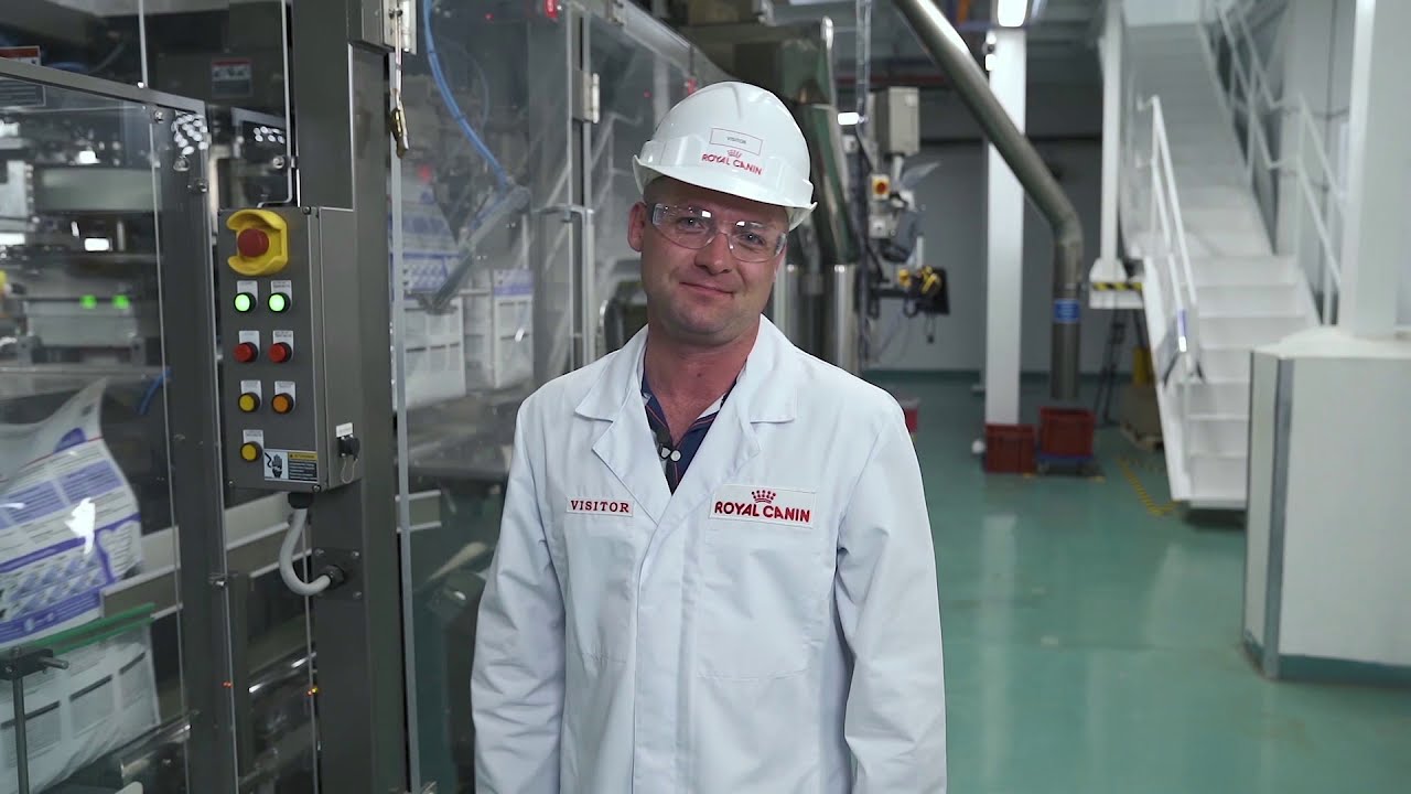 Сухие корма Royal Canin для кошек и собак в Magizoo.ru