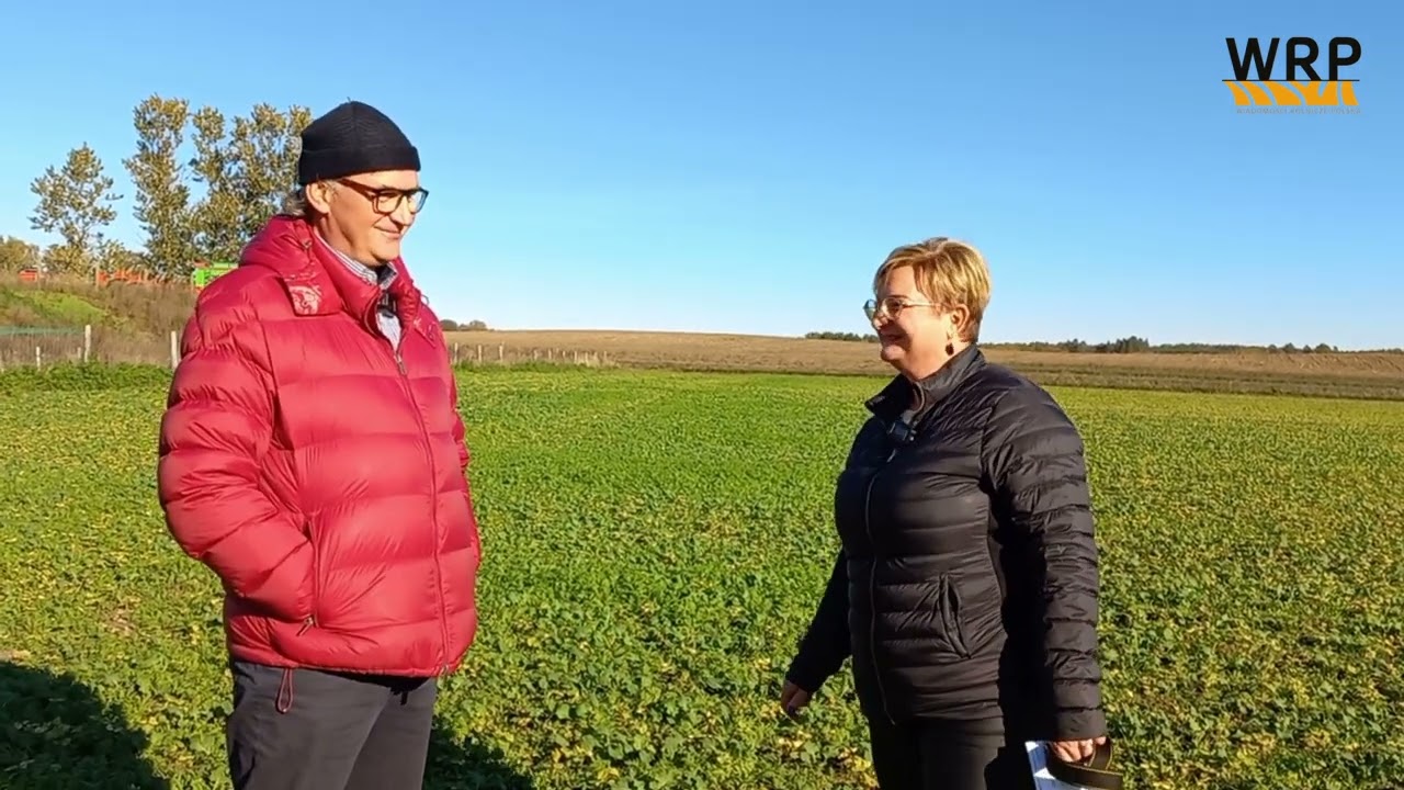 Uprawa rzepaku i kukurydzy w gospodarstwie ekologicznym