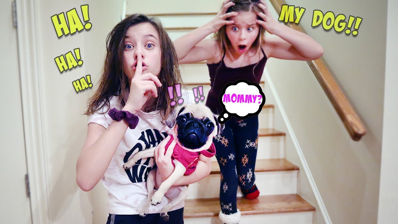 I KIDNAPPED MY SISTER'S PUPPY FOR THE DAY!!!