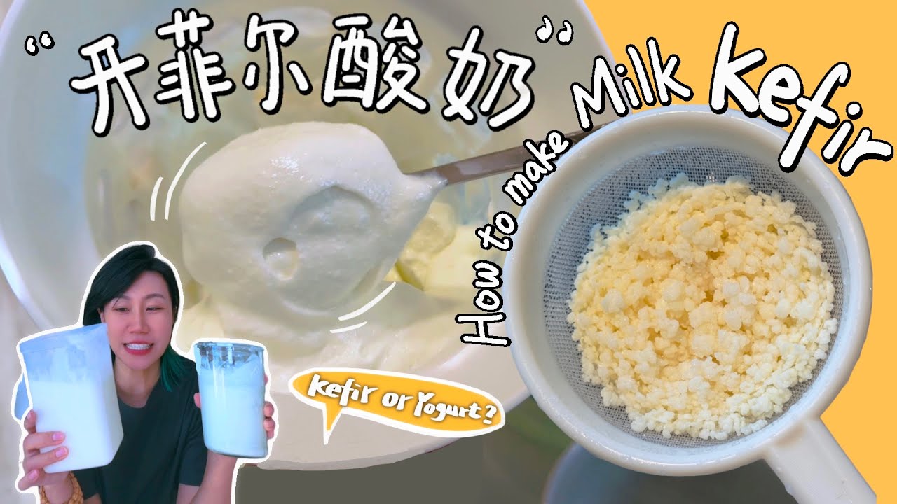 🥛如何制作开菲尔酸奶？开菲尔 🆚 普通酸奶~发酵方法、口感、全面对比！How to Make Kefir Yogurt？Kefir vs Yogurt: What’s the Difference?