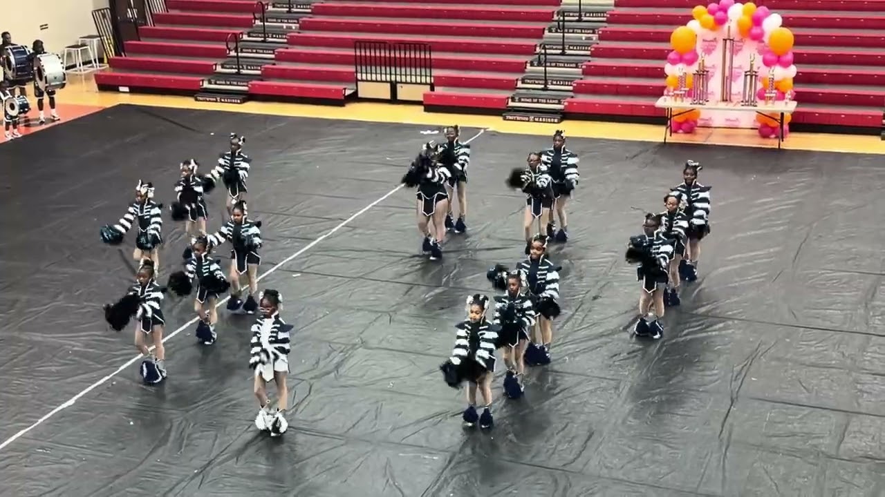 WSDT Pee-Wee&rsquo;s take 1st place at DHS Day 6/14/2026 