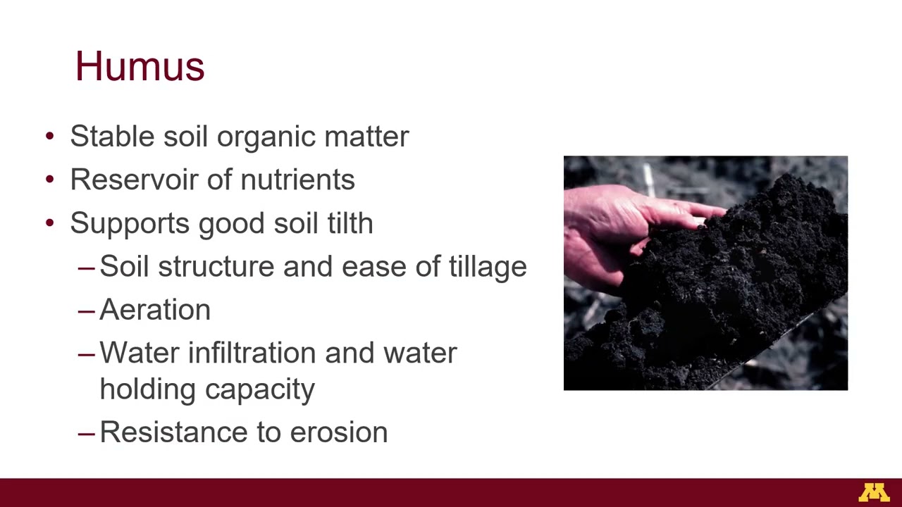 Soil fertility (accessible version)