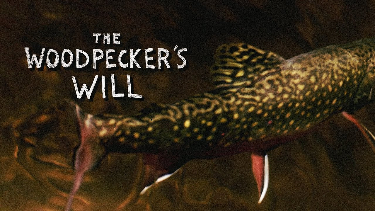 Ballad of the Brook Trout