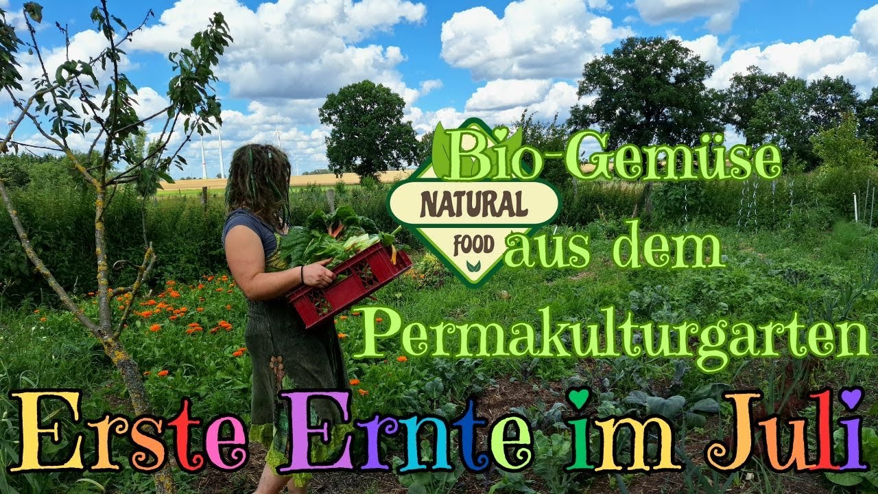 Erste Ernte im Juli - Mein Permakulturgarten im Sommer - mit Gartenrundgang und Landidylle!