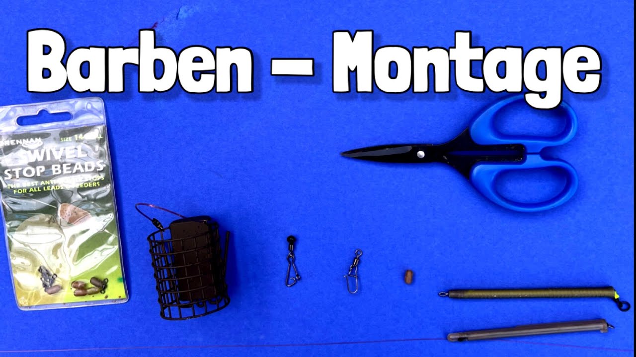 Meine Montagen für den Rhein !