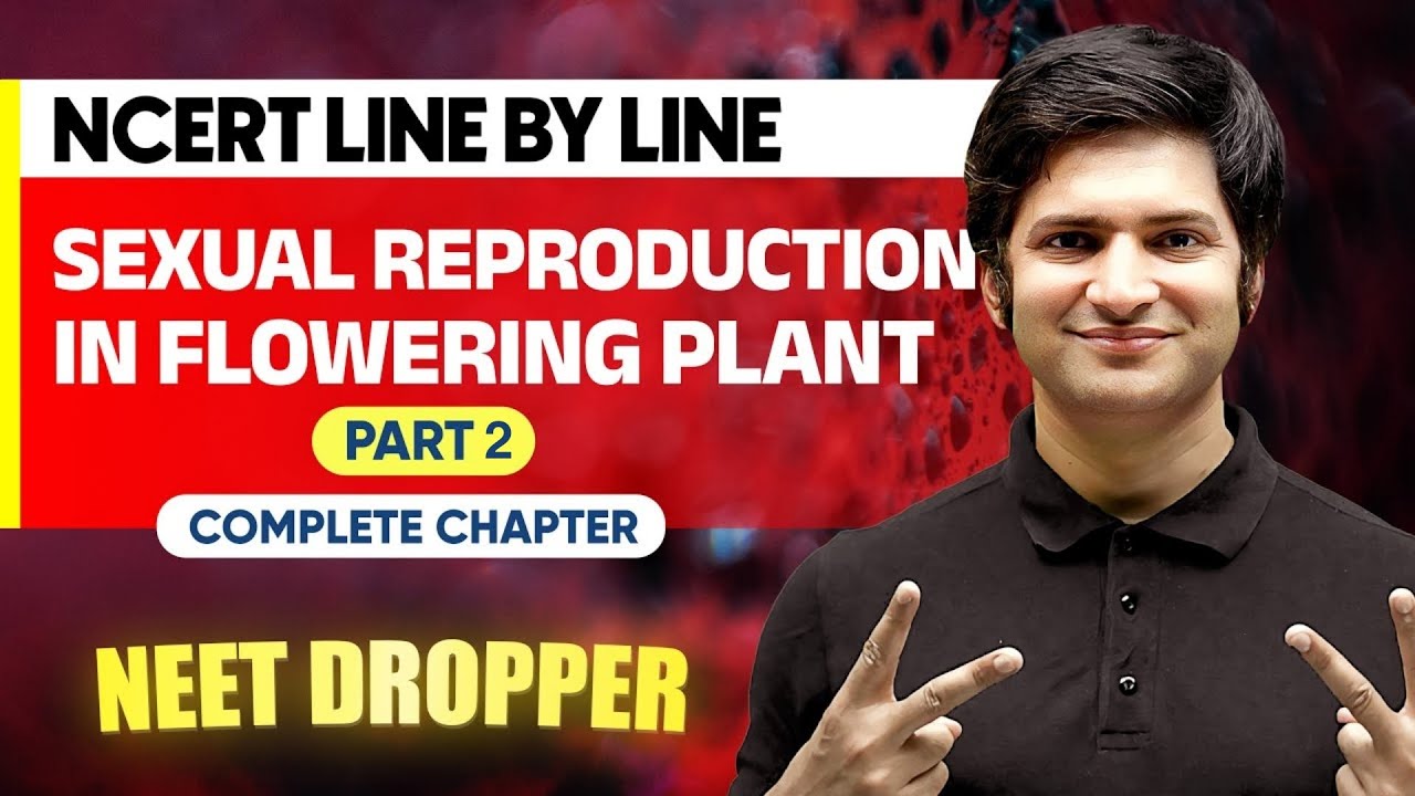 SEXUAL REPRODUCTION IN FLOWERING PLANT - Part 2 | NCERT Line by Line | BOTANY Chapter 12 | NEET